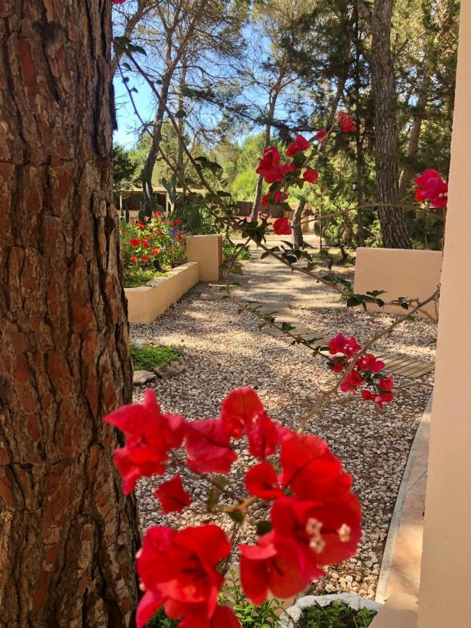 Apartamento Sa Ginebra, Cala Saona Bagian luar foto